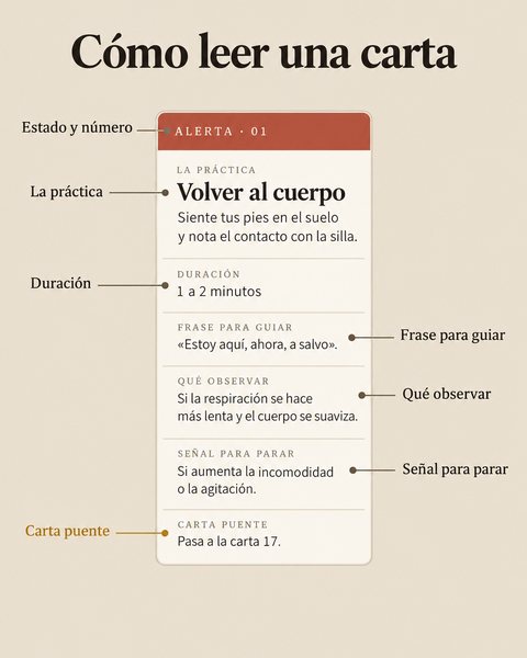 Cómo leer una carta