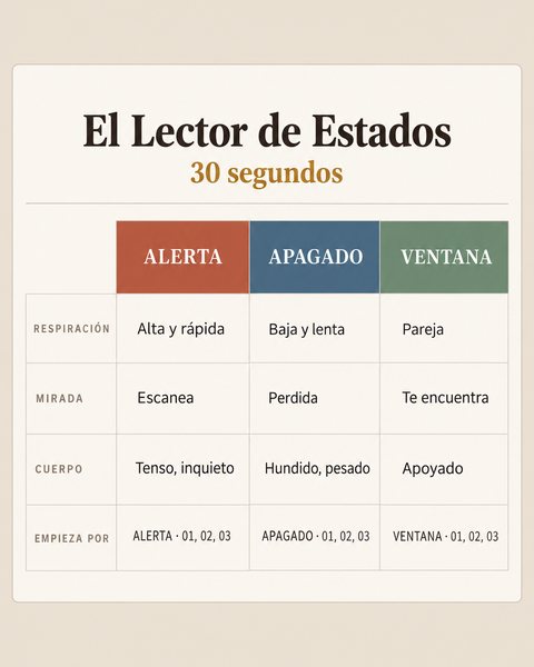 El Lector de Estados
